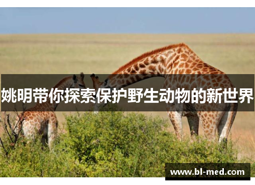 姚明带你探索保护野生动物的新世界