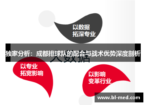 独家分析：成都排球队的配合与战术优势深度剖析