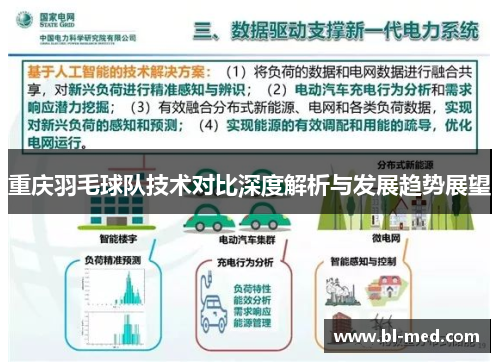 重庆羽毛球队技术对比深度解析与发展趋势展望
