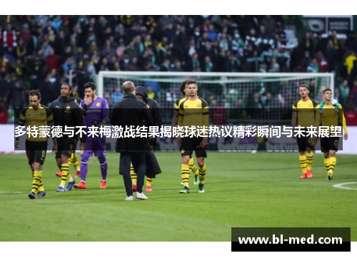 多特蒙德与不来梅激战结果揭晓球迷热议精彩瞬间与未来展望