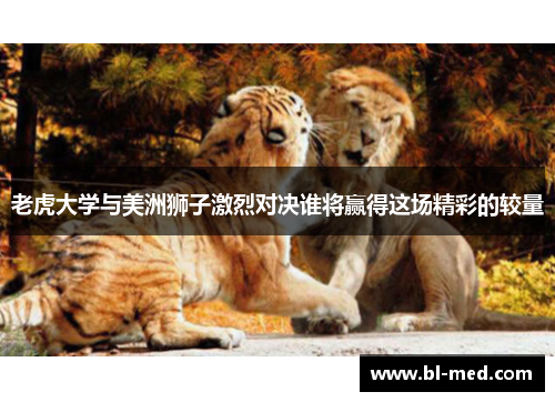 老虎大学与美洲狮子激烈对决谁将赢得这场精彩的较量